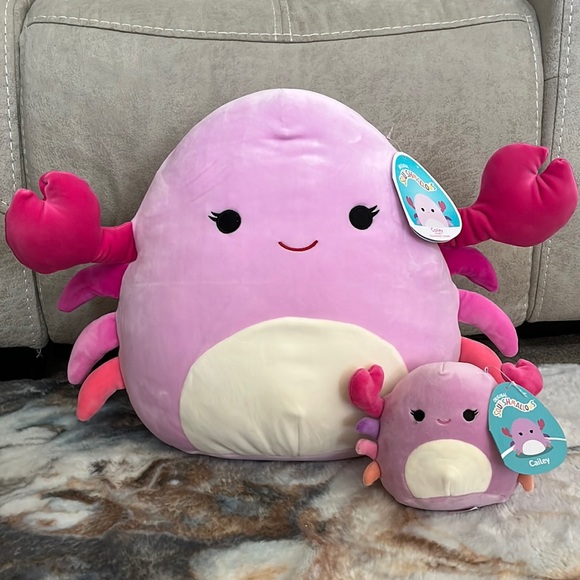 π¦ OG Squishmallows CAILEY 2020 14β with 5β Cailey 2023- both NWT & HTF - Picture 1 of 6